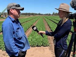 ABC finds new money for journalists