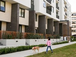 Tough new strata laws to keep buildings up