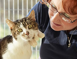 Animals win audit support for welfare