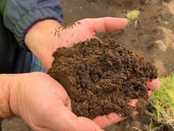 DPIRD digs into new soil plan