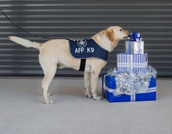 Police canines sniffing out crime