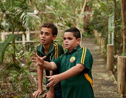 Indigenous questions the answer for fair exams