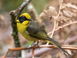 Eastern land area to protect biodiversity