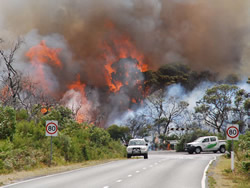 Holiday travellers urged to look out for fires