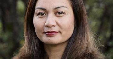 NEW ZEALAND: Long-term strategy to target violence