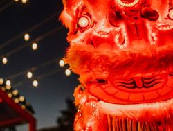 Celebrations to shine high for Lunar New Year