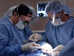 Hospitals take elective surgery off the table