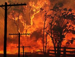New safety program dampens bushfire risk