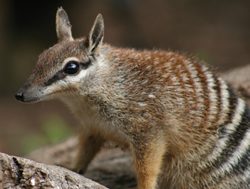 New park to protect vulnerable wildlife