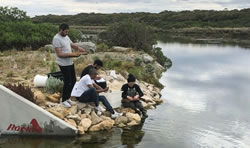 Murray flowing to spawn fish for breeding