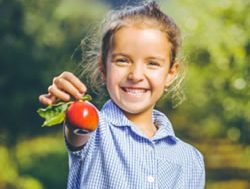 Fresh fruit to sweeten school lunches