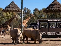 Zoo on show for taking top tourism awards