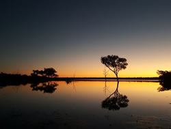 Grazing land to become national park