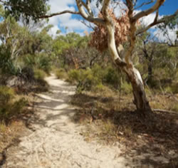 Onkaparinga delivers ‘Parks of the Month’