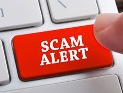 ScamNet Report shows scams on the rise