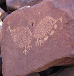 Plan to improve ancient rock art access