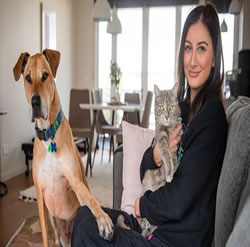 New laws lock in safeguards for renters