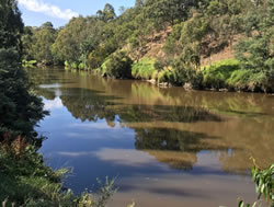 Melbourne Water to drive Yarra plan
