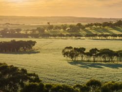 Voucher program to boost carbon farming