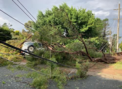 Belco clean-up still on for January storm