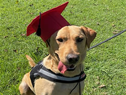 Detector dogs welcome new graduate