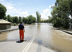 Mental health support for flood survivors