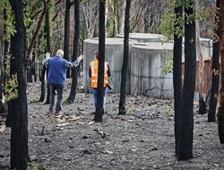 Coping with crisis: Lessons from the bushfires