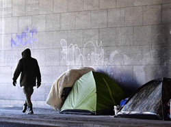 Online portal opens door to homeless