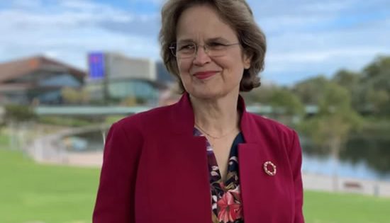 Governor to deliver new IPAA annual oration