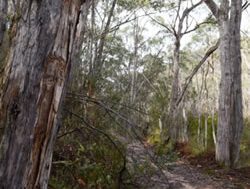 Park of the Month heads for the hills