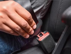 Buckle up for new road safety rules