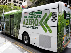 30 electric buses run with zero emissions