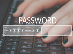 Passwords pass words for online protection