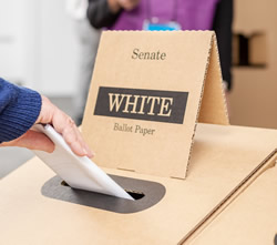 Voters advised to plan their voting