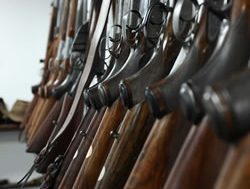 Review to take shot at firearms registry