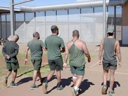 Remote jail offenders win access to video