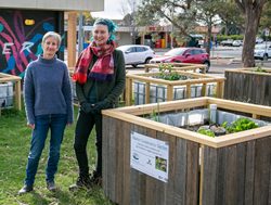 Community Gardens growing grants all over