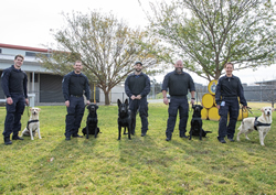 Explosive detection dogs to sniff out crime