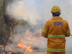 Botanic research finds bushfire dangers