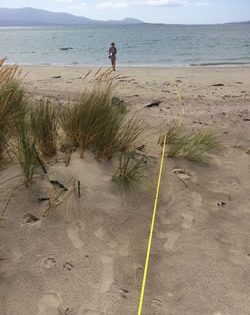 CSIRO team beats plastic waste at sea