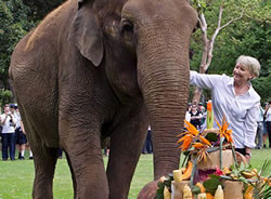 Zoo farewells popular elephant