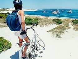 Rottnest review to set new manage plan