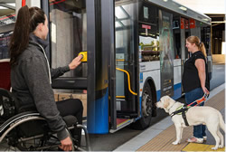 National review for disability and public transport