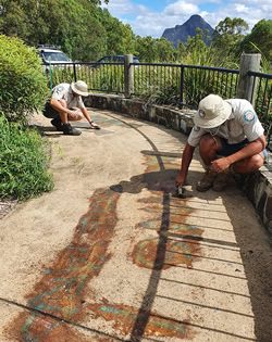 Vandals wanted after damage to lookout