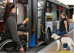 Disability and public transport to be reviewed