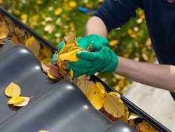 VBA rustles the importance of clear gutters