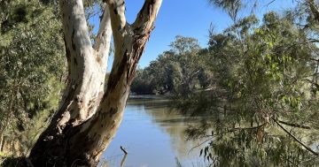 NSW Government's controversial Murrumbidgee water sharing plan seeks feedback