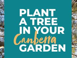 New local Guide for growing trees