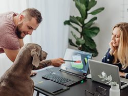 Paws for thought: Pets in the office
