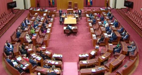 Senate delivers Labor an 'almighty backfire' over its deportation bill